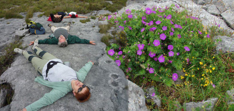 Stones & Stories walk in the Burren, Clare. Private guided.