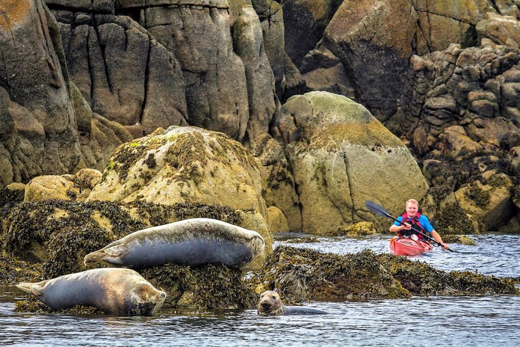 Coastal Kayaking to Caves and Islands. West Cork. Guided.