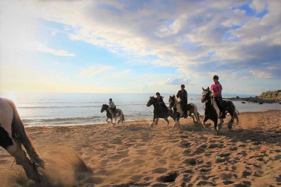 Beach horse riding trail. Clare. Guided.