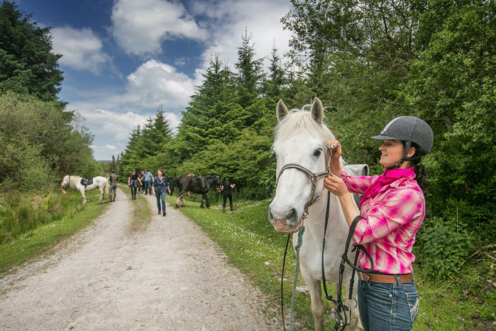 Horse riding the dirt trail. Clare. Guided.