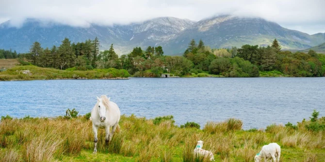 Connemara Pony-Connemara, County-Galway-Ireland