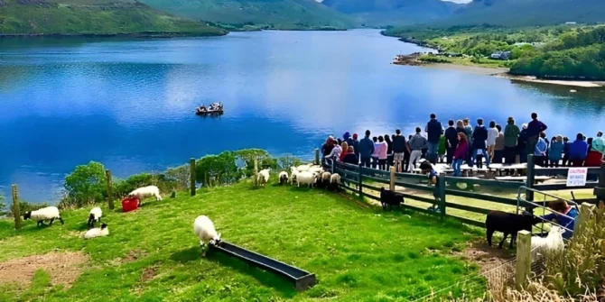 Farm on Killary-Killary-Galway-Ireland
