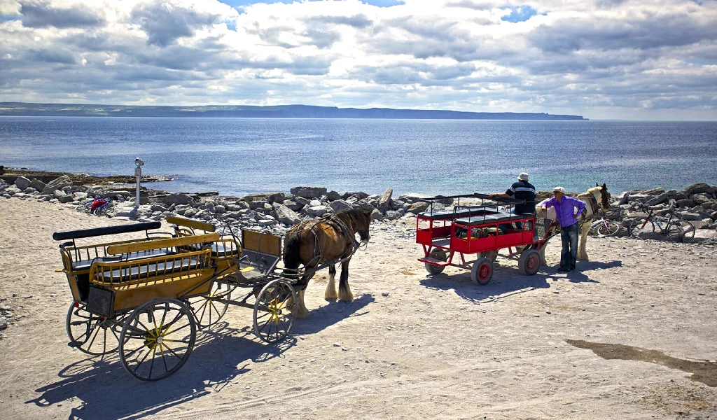 Pony and Trap-Inis Oirr-Aran Islands-Árann-Galway-Ireland