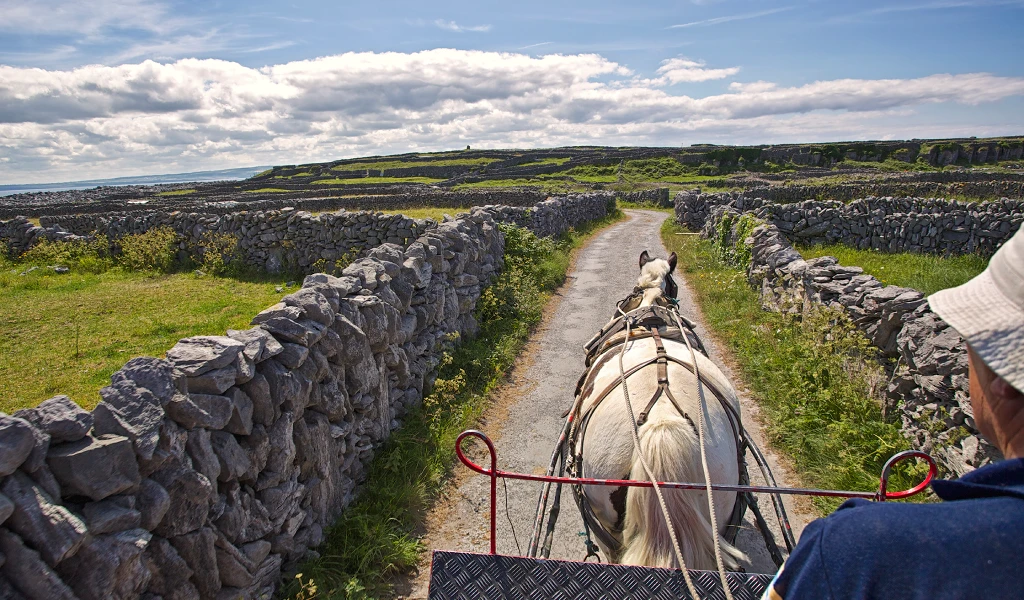 Pony & trap-Inisheer Island-Aran Islands-Galway-Ireland