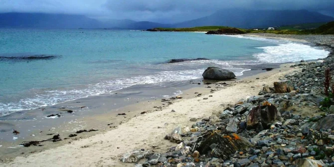Seaside-Seaweed-Foraging-Ecology walk-Galway-Ireland