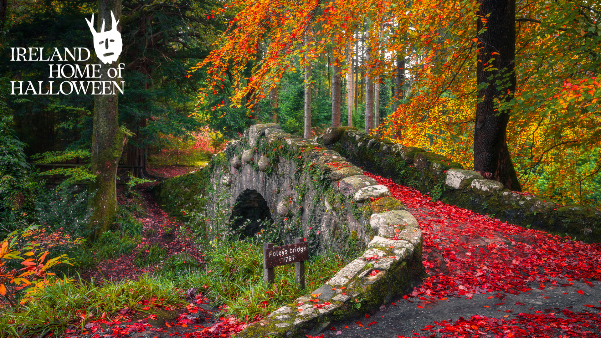 Ireland in October: Autumn Adventures and Ancient Echoes