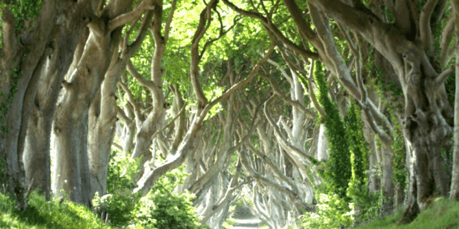 The Dark Hedges, Ballymoney, Northern Ireland